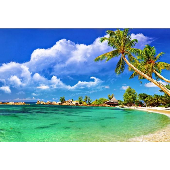 Book Domestic and International Hotesl Holidays Tours Port Blair Packages  Packages - Book Port Blair Honeymoon Packages Tour & Holiday Packages at  best Prices